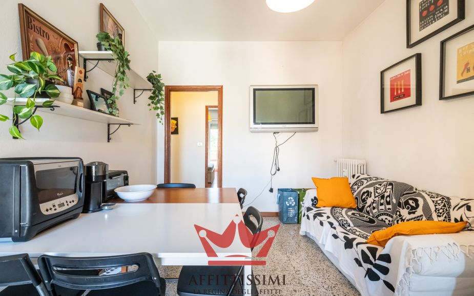Trilocale citta' studi