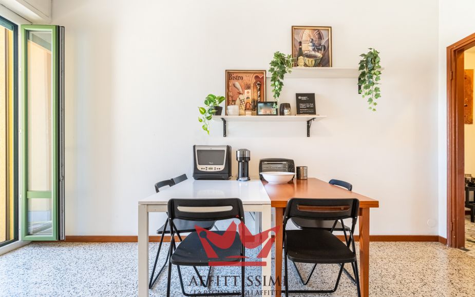 Trilocale citta' studi