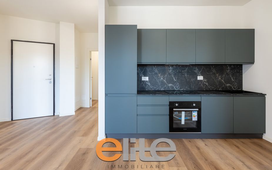 The apartment opens onto a living room with a brand-new, never-used open-plan kitchen